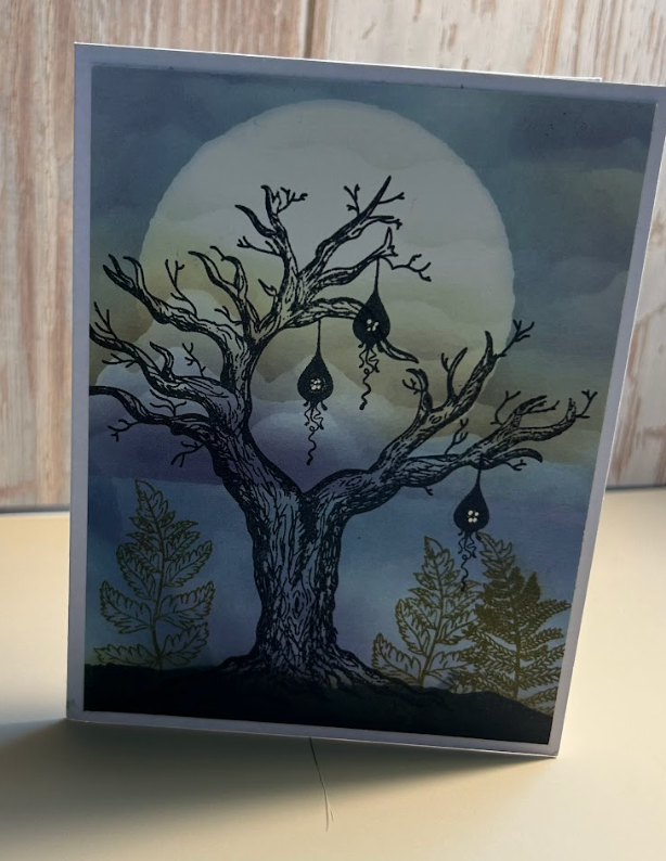 Fairy Homes In a Tree