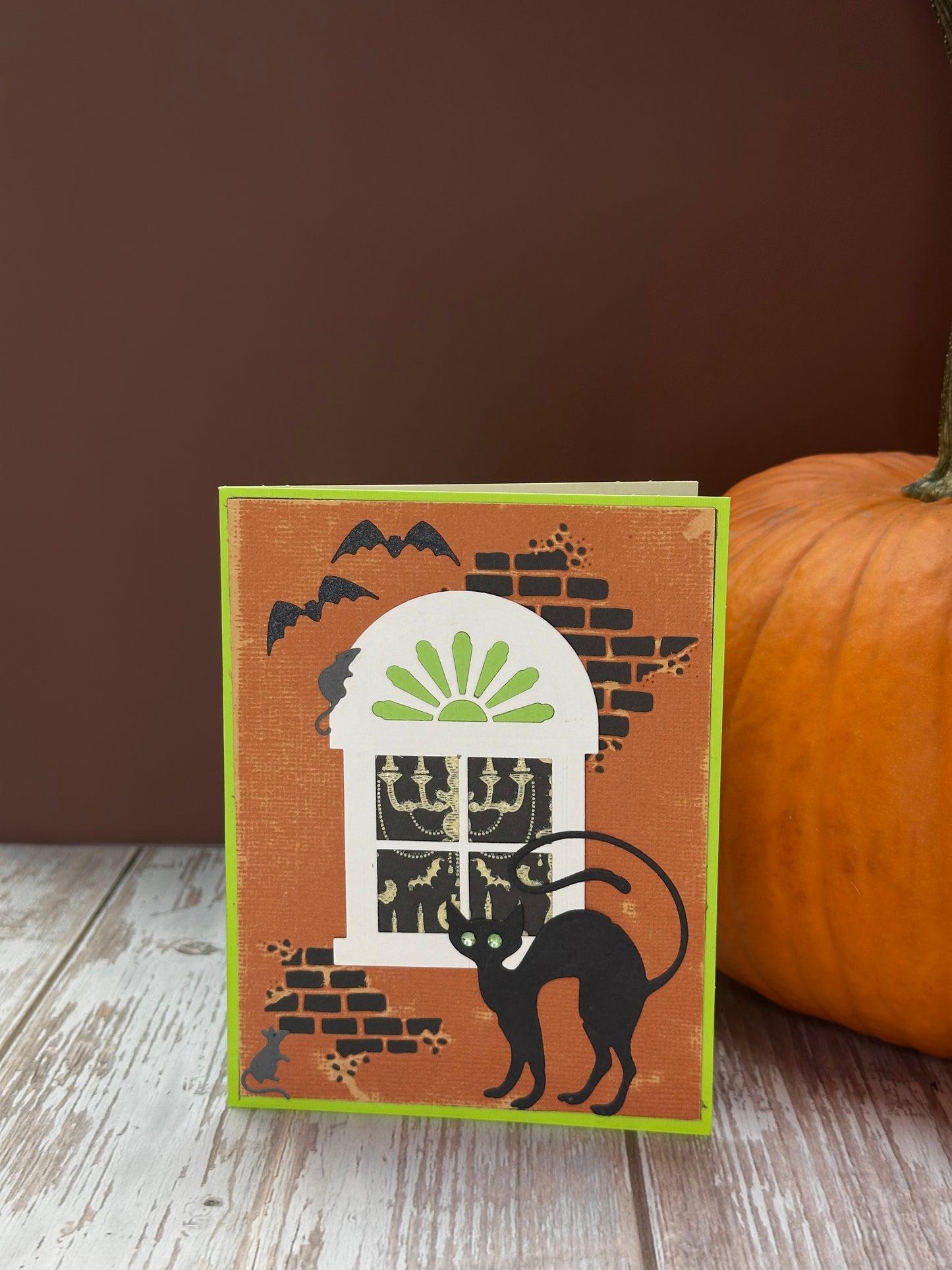Terrors of Window-Made by Lori
