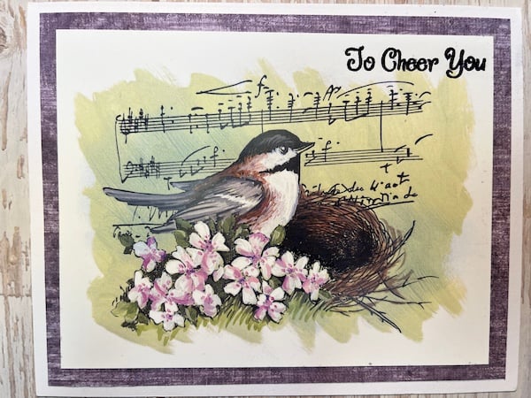 To Cheer You Bird on Nest