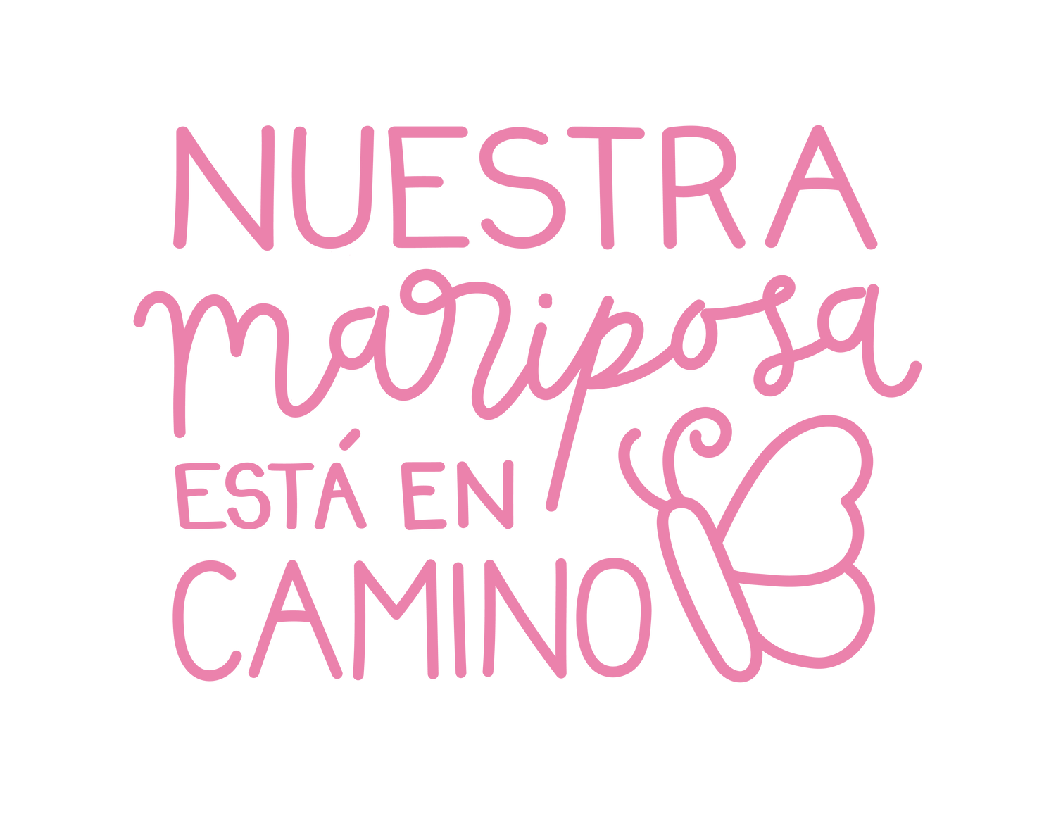Nuestra Mariposa Está en Camino