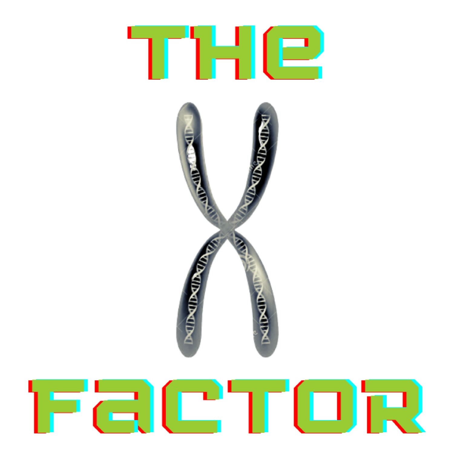X Factor