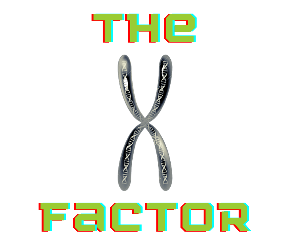 X Factor