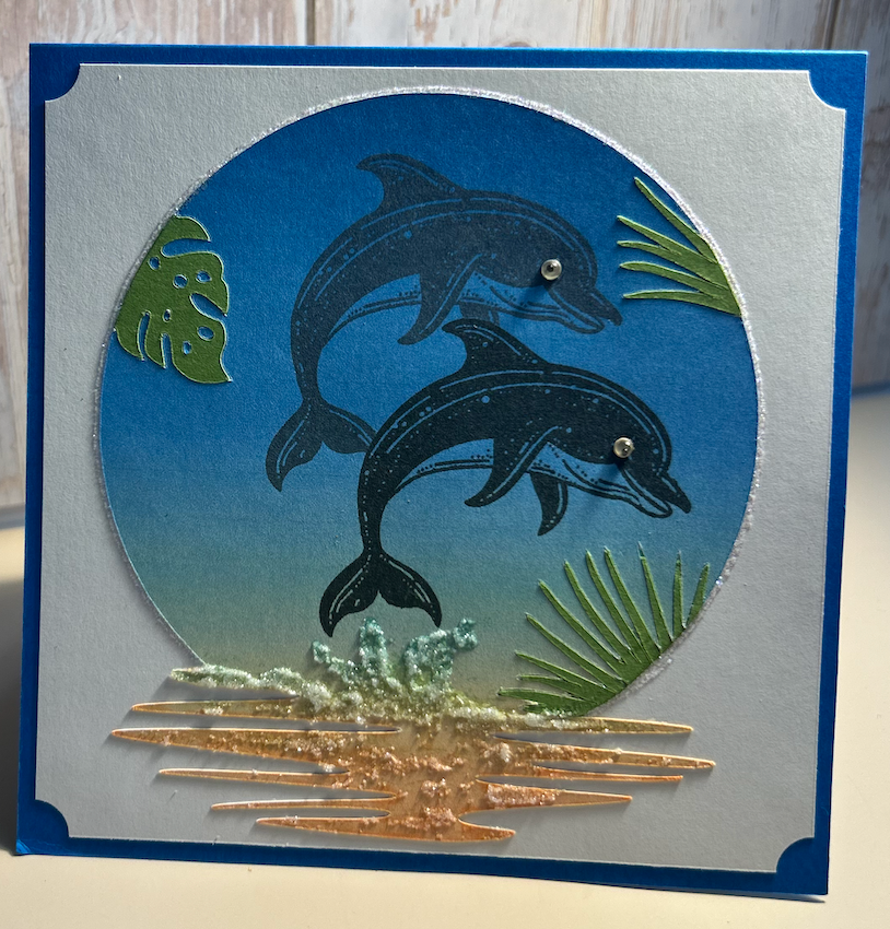 Happy Birthday- Dolphins