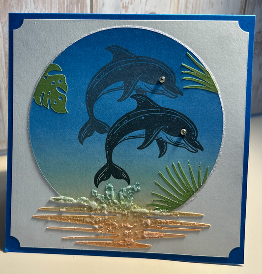 Happy Birthday- Dolphins