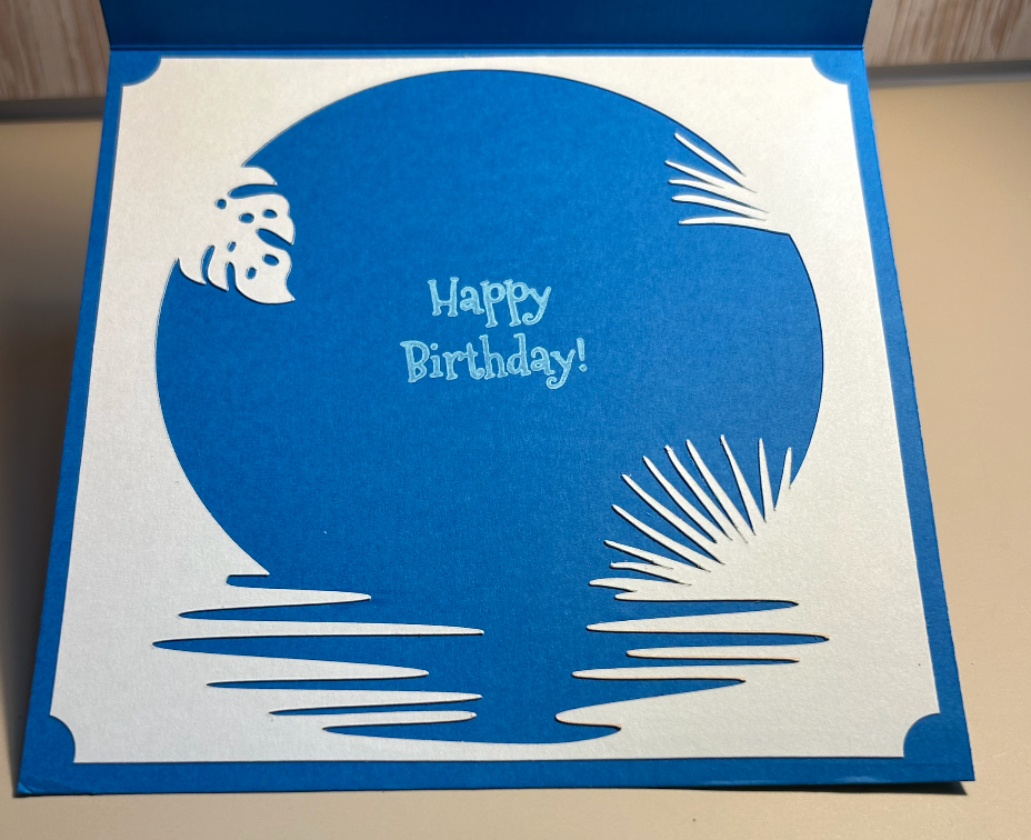 Happy Birthday- Dolphins