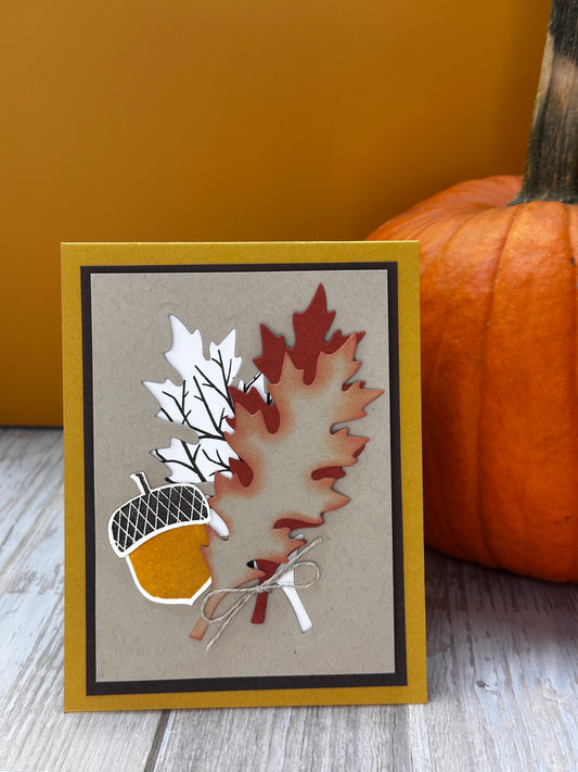 Acorn Blessings