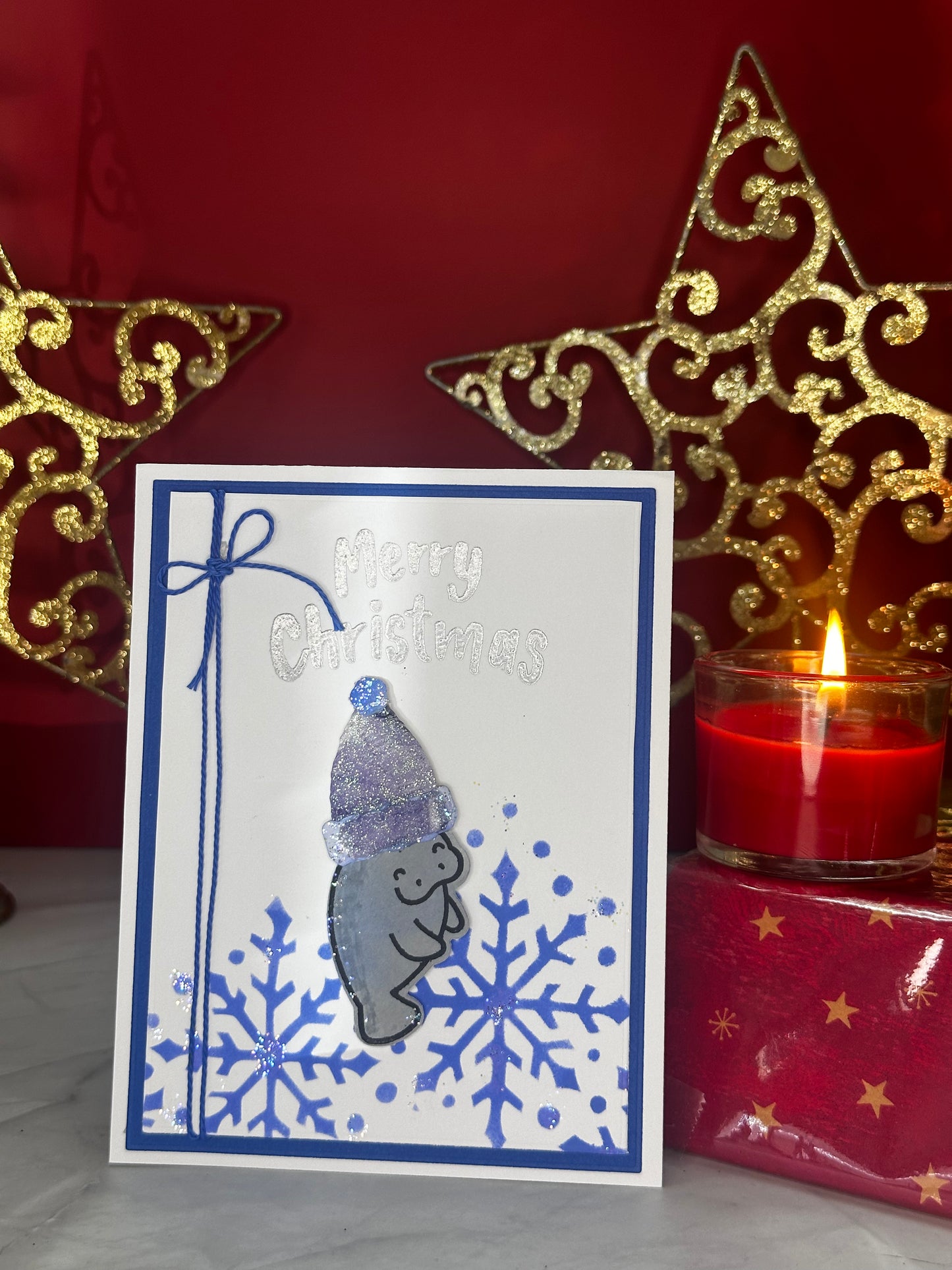Snowflake seal-Made By Tina V