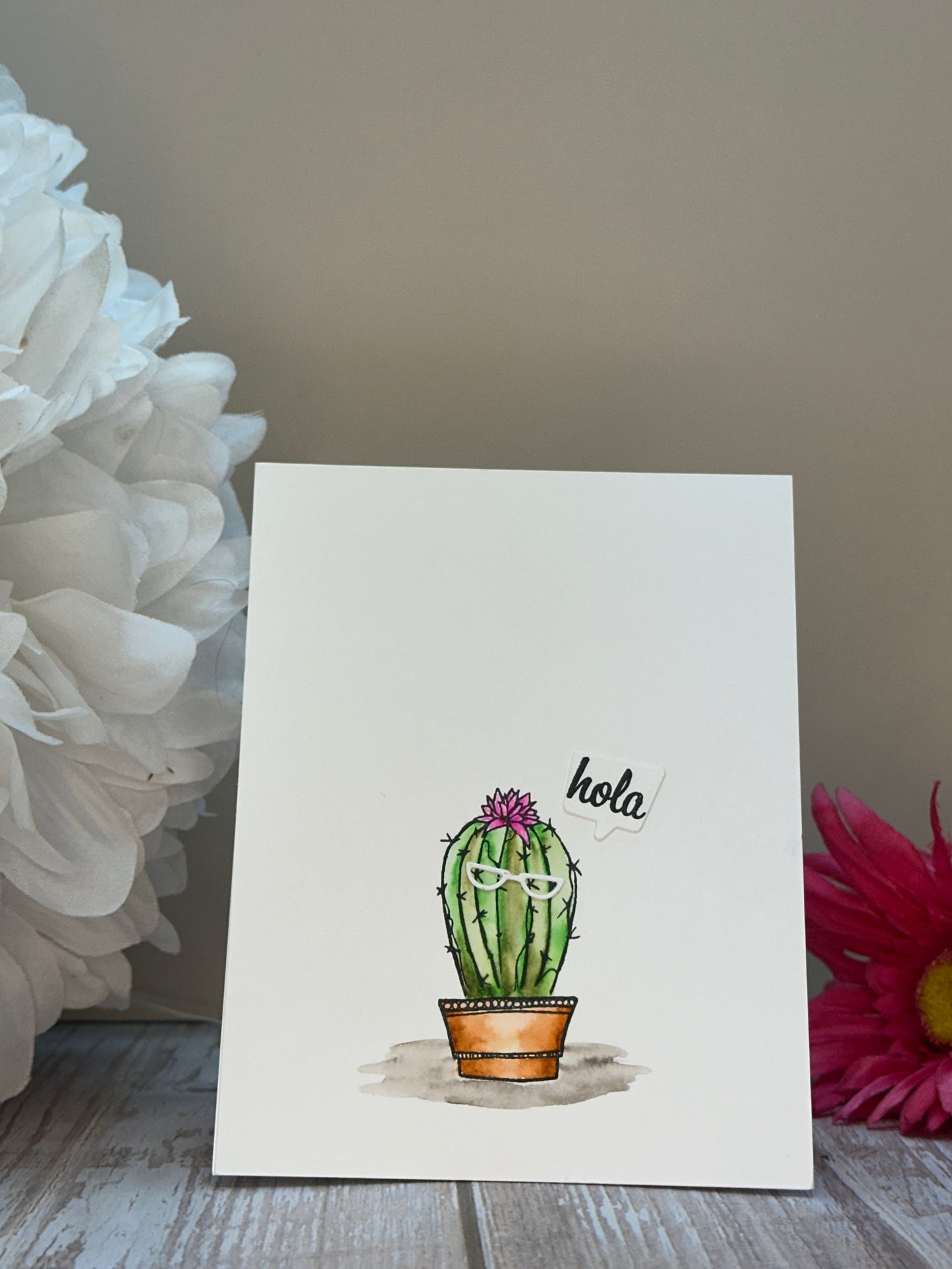 Hola Cactus