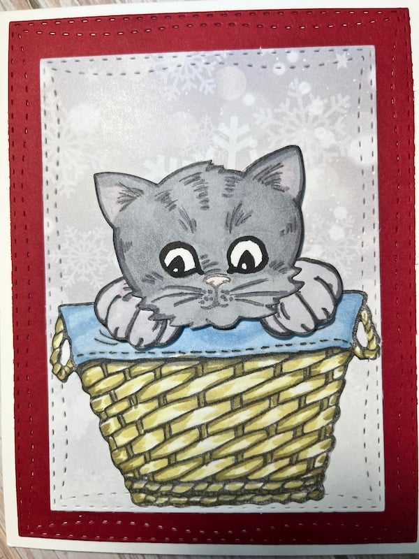 Sweet Kitty in Basket
