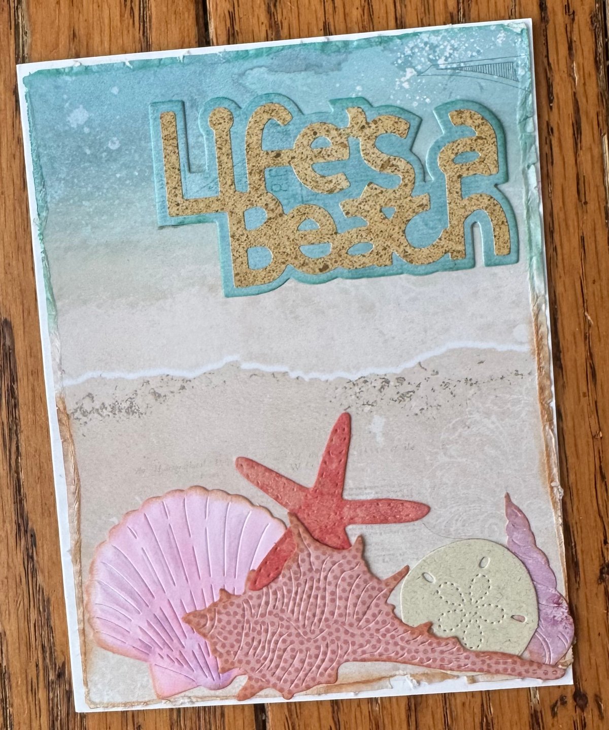Seashells On The Beach